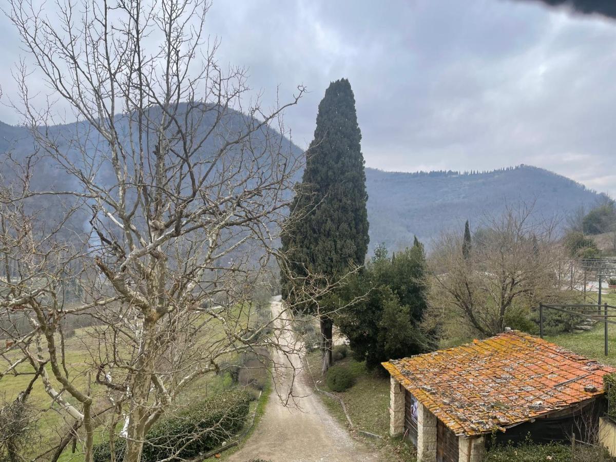 Tenuta Dei Cavalieri モリン・デル・ピアノ エクステリア 写真