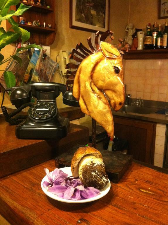 Tenuta Dei Cavalieri モリン・デル・ピアノ エクステリア 写真