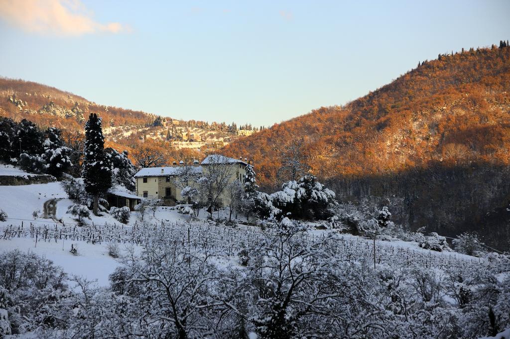 Tenuta Dei Cavalieri モリン・デル・ピアノ エクステリア 写真