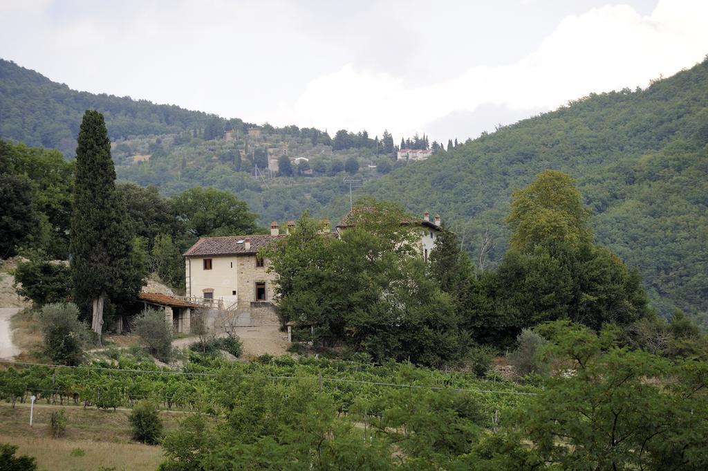 Tenuta Dei Cavalieri モリン・デル・ピアノ エクステリア 写真