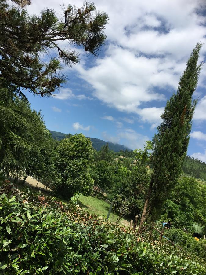 Tenuta Dei Cavalieri モリン・デル・ピアノ エクステリア 写真
