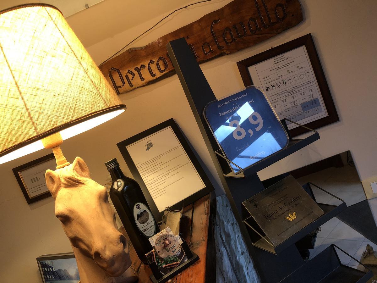 Tenuta Dei Cavalieri モリン・デル・ピアノ エクステリア 写真